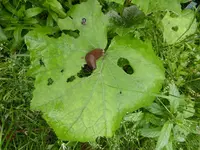 P1160091.webp