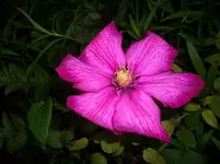 DSCI4104.webp