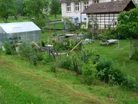 2016-05-31 WIldhecke1.webp