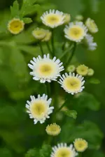 DSC_3395.webp