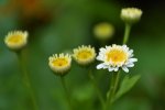 DSC_3397.jpg