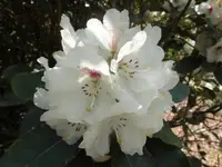 Bilda1065.webp