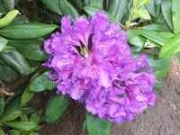 Bilda694.webp