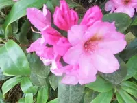Bilda015.webp