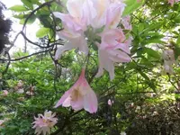 Bilda098.webp