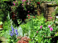 IMG_6227-002.webp