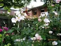IMG_6254.jpg