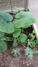 20160608_170611.webp