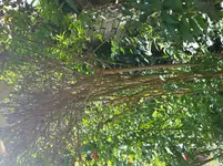 20160609_161358.webp