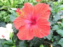 DSCI0094 (2).webp