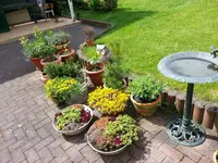 20160608_151952.webp