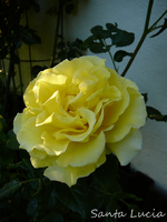 P1120183.webp