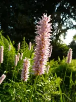 P1120179.webp