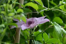 DSC_3424.webp