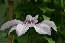 DSC_3428.webp