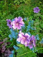 P1120167.webp