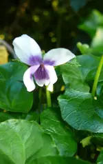 P1120177.webp