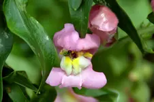 DSC_4004.webp