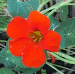 DSCF6305 (3).webp