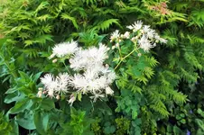 DSCF6301 (2).webp