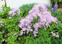 DSCF6283 (3).webp