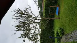 20160603_130848.webp