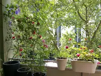 20160610_112336.webp