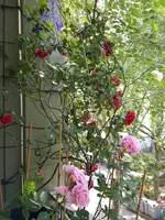 20160610_112350.webp