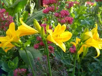 DSCN6304.jpg