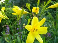 DSCN6305.jpg