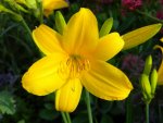 DSCN6307.jpg