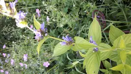 20160608_180725.webp