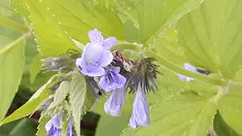 20160608_180741.webp