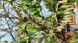 20160610_172942.webp
