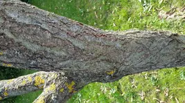 20160610_172829.webp