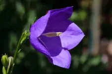 2016-06-10-8936.webp