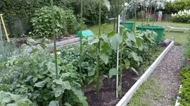 20160610_213004.webp