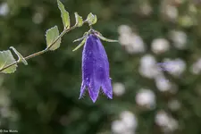 IMG_0689-2.webp