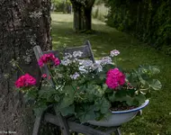 IMG_0763.webp
