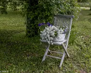 IMG_0785.webp