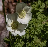 IMG_0872-2.webp