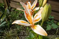 SAM_1540.webp