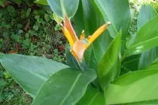 SAM_1546.webp