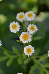 DSC_4092.jpg