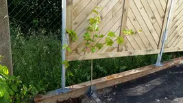 20160610_183621.webp