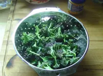 Brokolie.webp