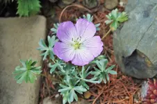 DSCF6321 (2).webp