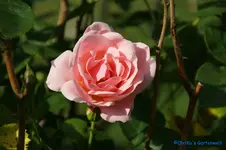 comp_DSC05061.webp