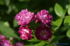 comp_DSC05068.webp