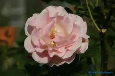 comp_DSC05071.webp